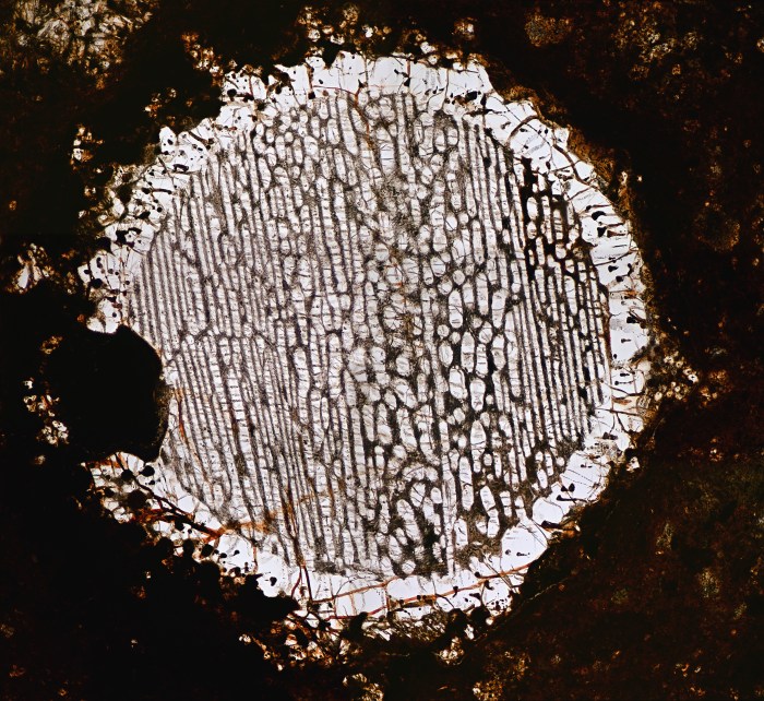 Meteorites – A Very Short Guide | Meteorites: The Blog from the Final ...